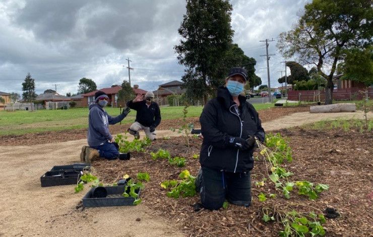 Staff planting trees