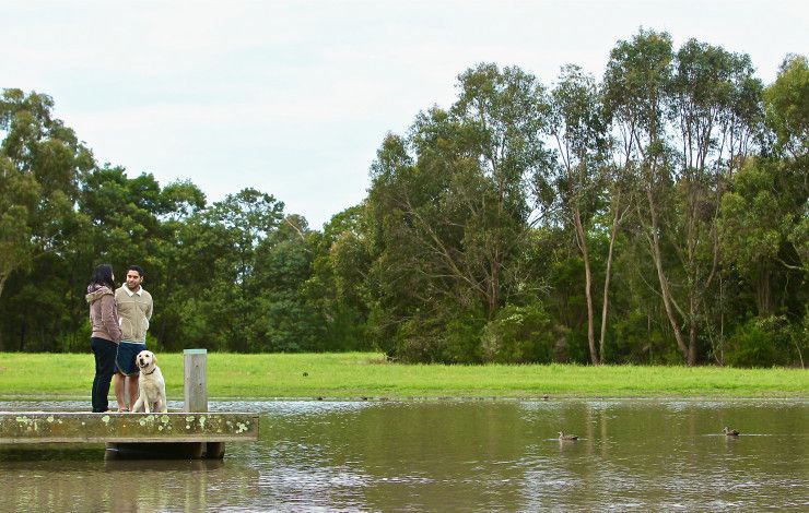 Park with people and dog