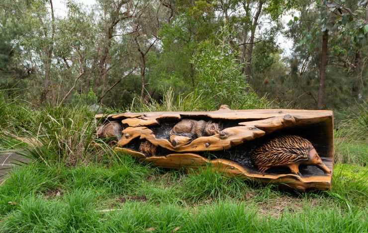 Alex Wilkie Nature Reserve