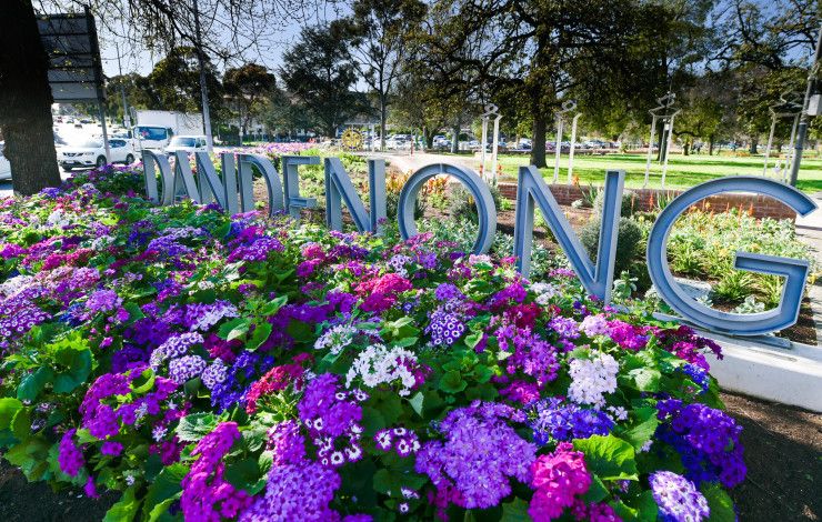 Dandenong Park in full bloom
