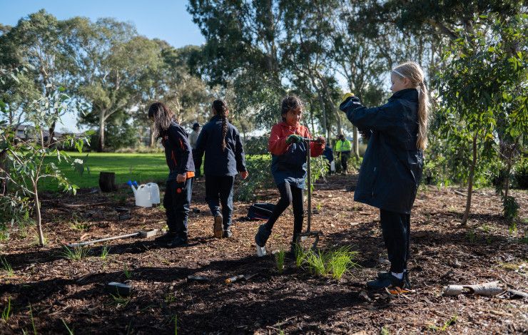 students planting seedlings 