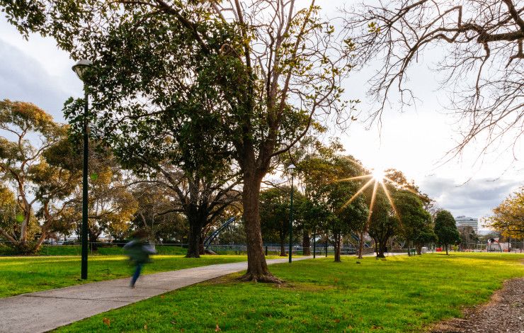Trees in a Greater Dandenong Park