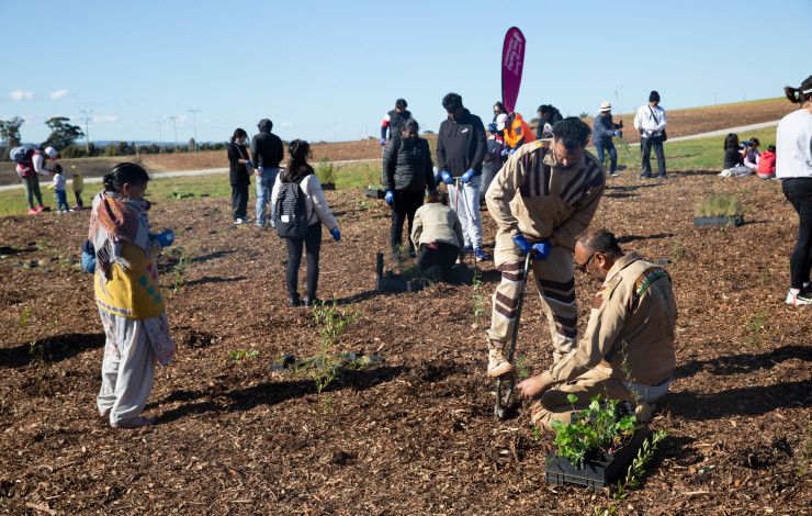 people in a reserve planting trees