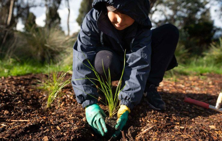 Child planting a tree