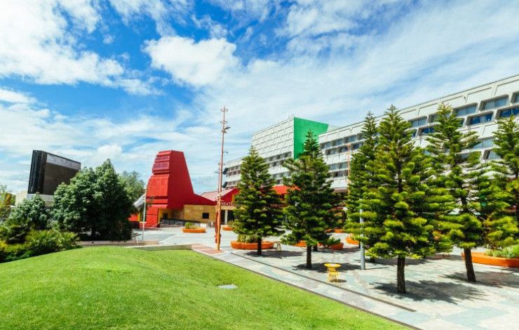 harmony square tress and path leading to building