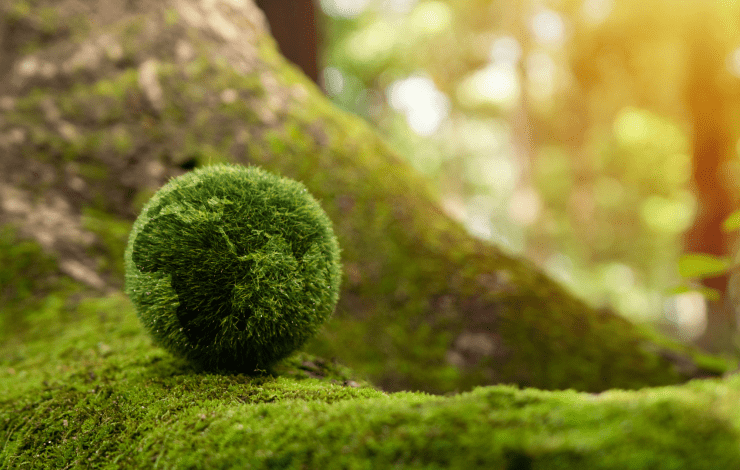 A green planet earth in front of a tree.