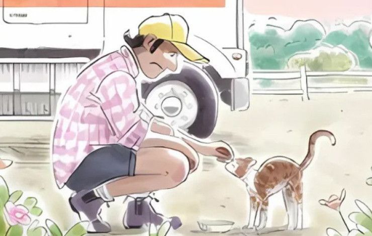 Book cover of The Truck Cat.