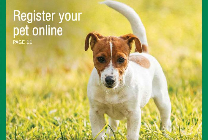 Greater Dandenong Council News August 2021