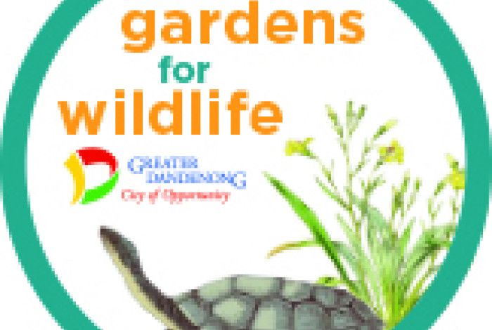 Gardens for wildlife greater Dandenong eastern long-necked turtle
