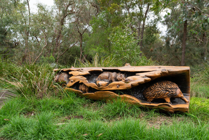 Alex Wilkie Nature Reserve