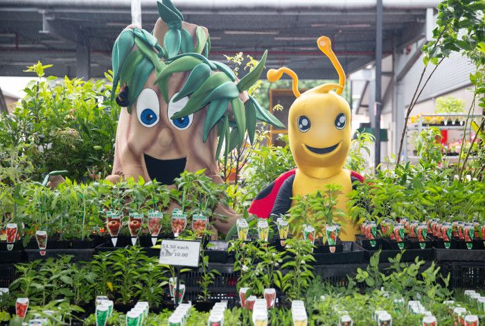 Harry Habitat and Lily Litter at the Dandenong Market