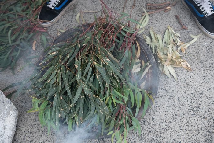 leaves in a dish during a smoking ceremony