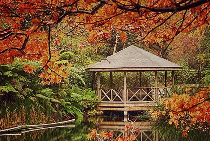 Dandenong Ranges Botanical Garden