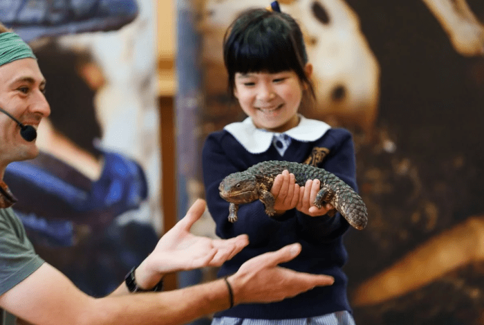 A little girl holding a lizard. 