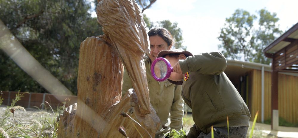 an adult and child looking at a wood carving at Alex Wilkie Reserve
