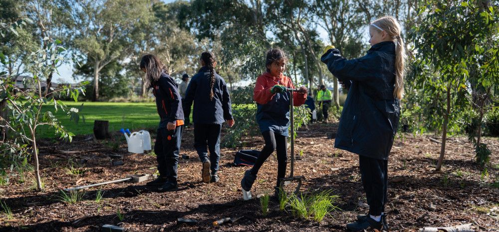 students planting seedlings 
