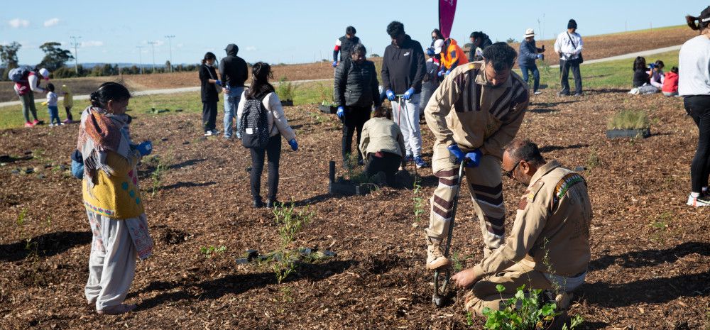 people in a reserve planting trees