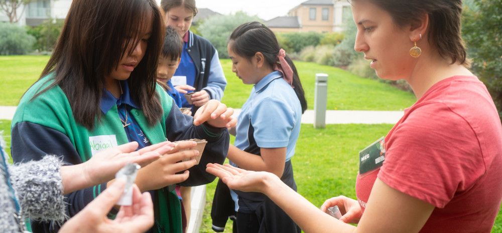 people holding seeds