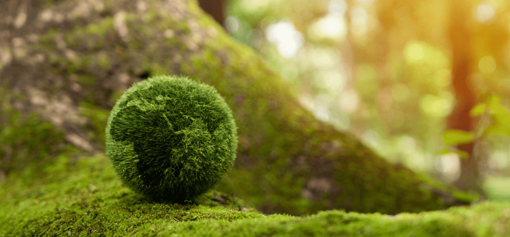 A green planet earth in front of a tree.