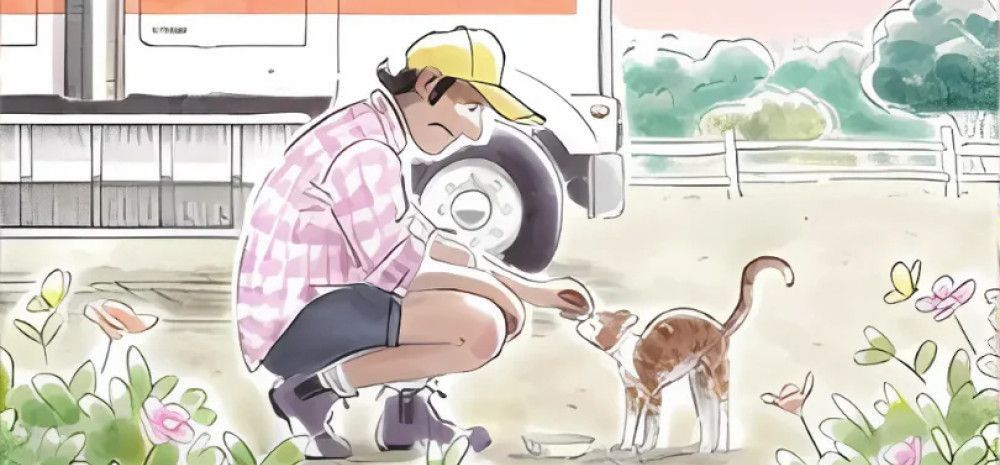 Book cover of The Truck Cat.