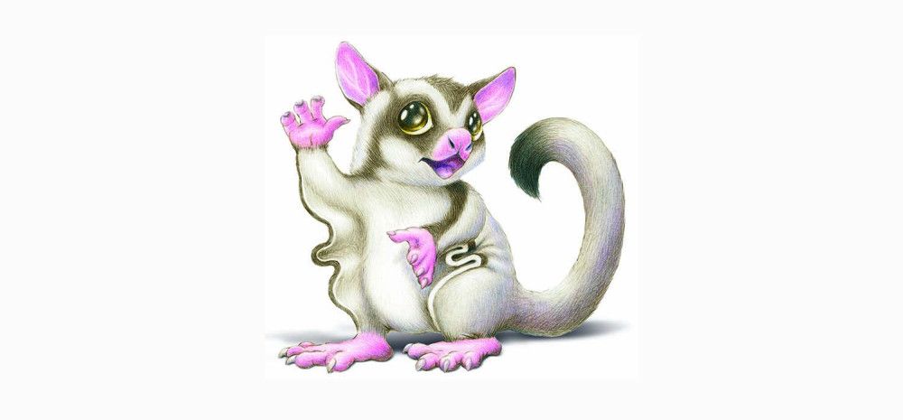Illustration of a small sugar glider possum waving