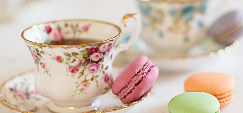 Cup of tea and biscuit