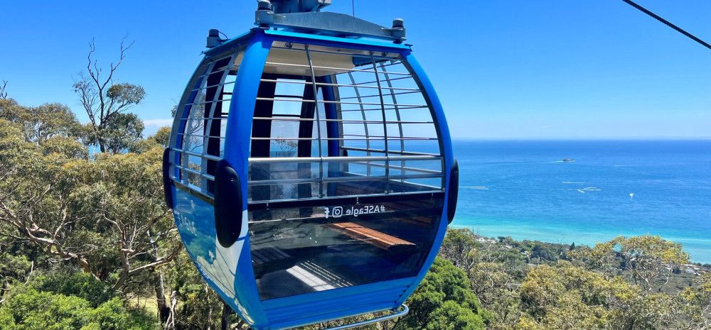 Arthurs Seat Eagle Gondola ride with bay in background