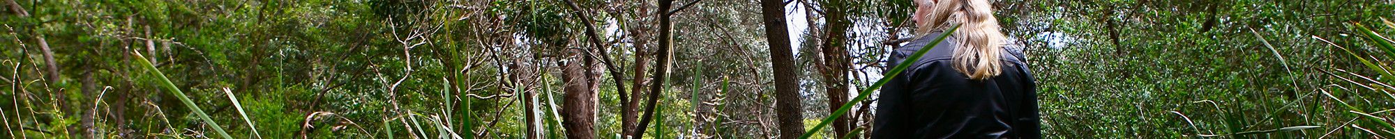 educator walking through bush land