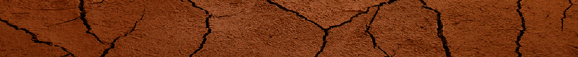 Humaira Fayazi, Being Strong Despite Pressure, 2016.