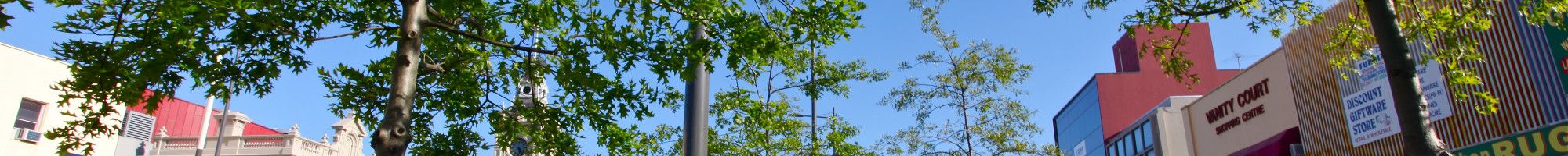 Training Practice Page