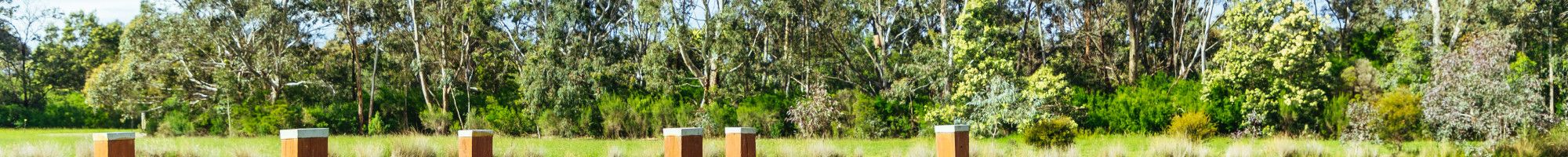 Tirhatuan Park Jetty