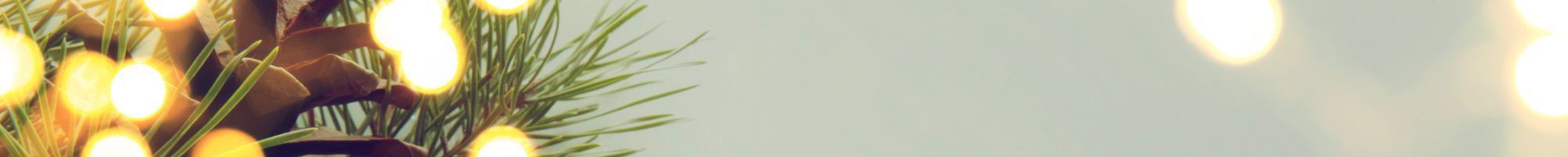 Christmas tree and lights