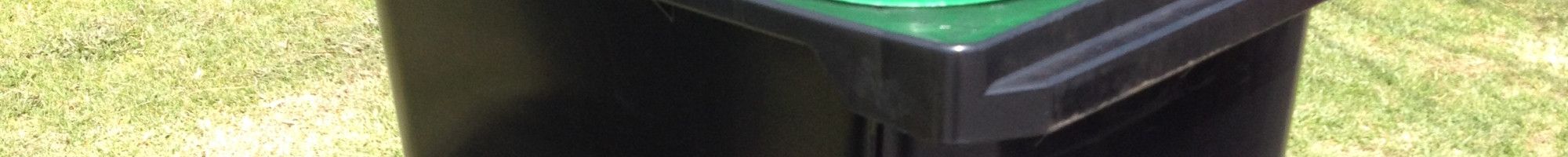 green lid bin