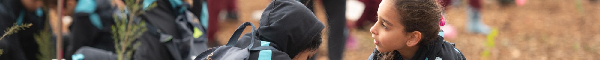 children planting trees