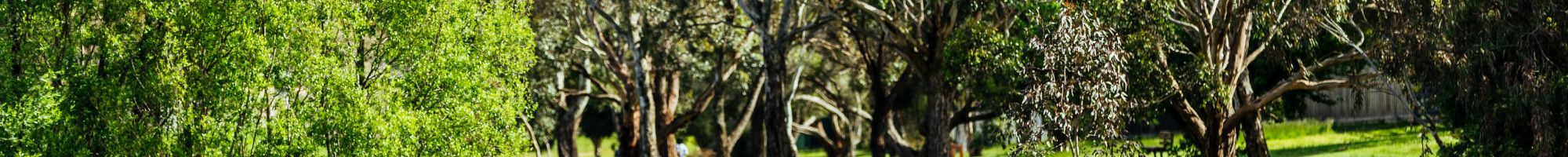 image of park and creek