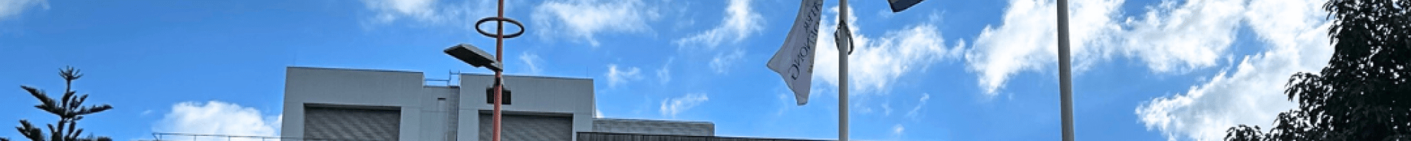 urban environment with pride flag