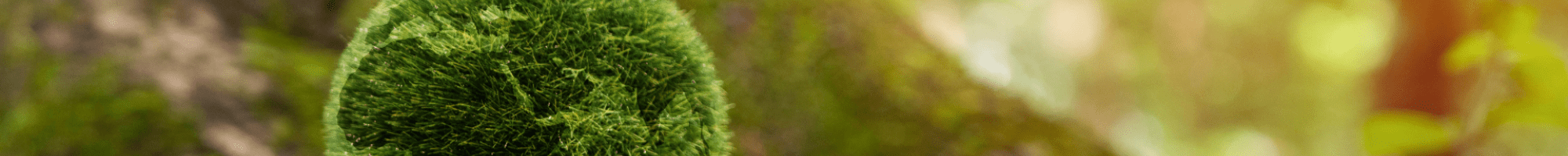 A green planet earth in front of a tree.