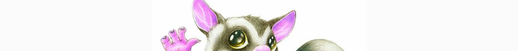 Illustration of a small sugar glider possum waving