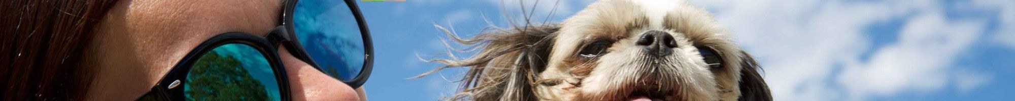 A woman wearing sunglasses holds a brown and white dog up next to her face in front of a cloudy blue sky.