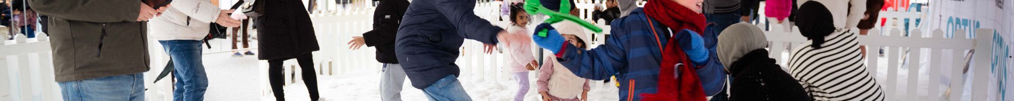 People playing in snow