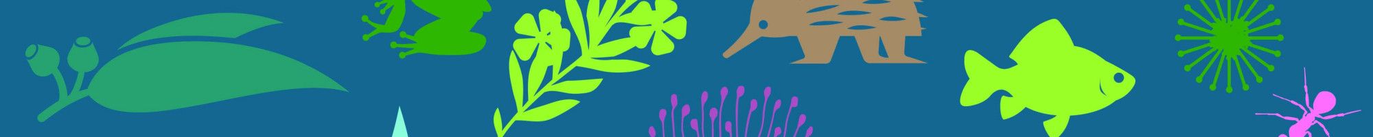 Collection of illustrated images around the title 2025 Community Calendar