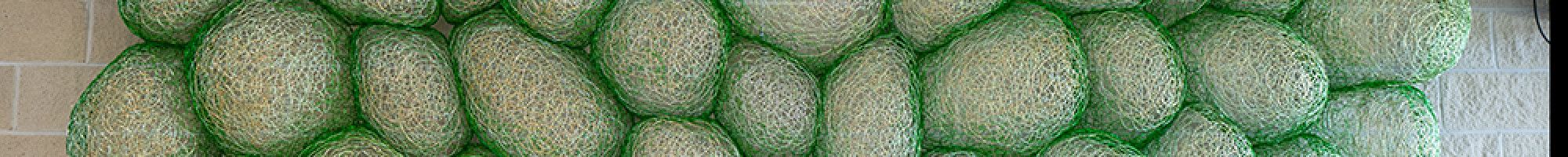 Artwork called Coalescence at Keysborough Community Hub green bubbles hanging on the wall