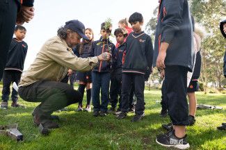 One Tree Per Child launch at Somerfield Reserve