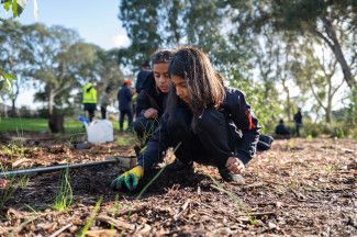 One Tree Per Child launch at Somerfield Reserve