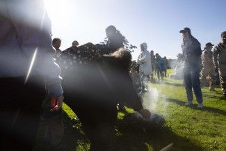 National Tree Day at Springvalley Reserve 2023