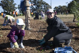 National Tree Day at Springvalley Reserve 2023