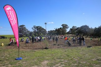 National Tree Day at Springvalley Reserve 2023