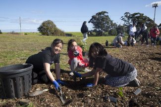 National Tree Day at Springvalley Reserve 2023