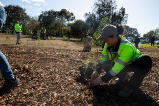 National Tree Day at Springvalley Reserve 2023