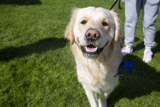 National Tree Day at Springvalley Reserve 2023